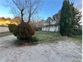 Photo numero 46559342 du bien UBI462623312